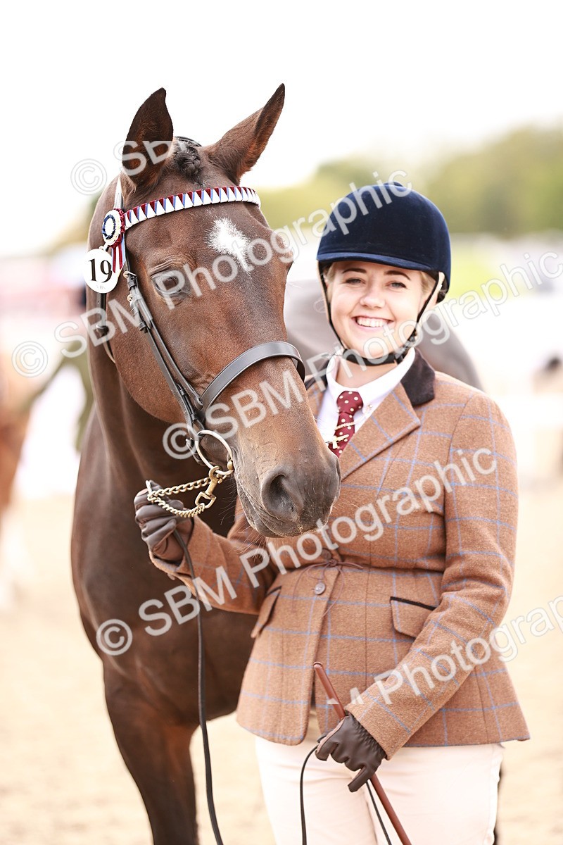 SBM_16139 - Class 411 - Prettiest Mare - (IH or Ridden Adult)