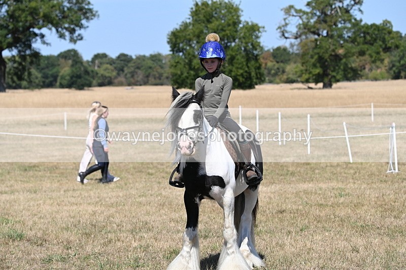 WJ6_9027 - Class 38 Ridden Riding Horse/Pony