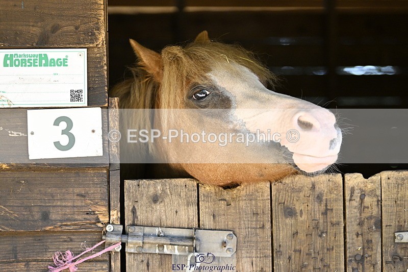 240728B-092740-00022 - Sunday Stable Shots and Fancy Dress