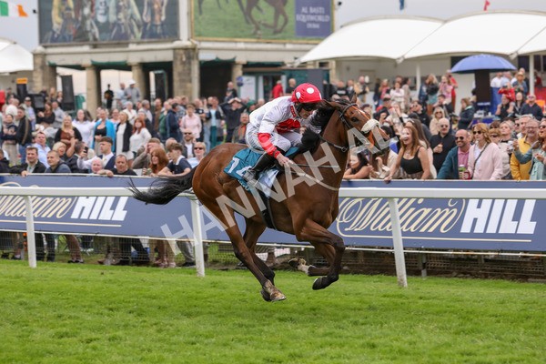 250524-Race 7-Feel The Need-3372 - Race 7 5.05pm Alf Duffield Memorial Handicap