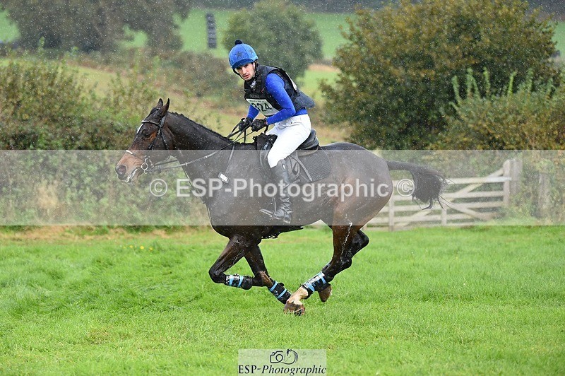 231022-132910-28460 - 324-HAZZLE.DAZZLE-Henry.Hobby-XC