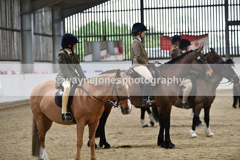 WJ5_8531 - Class 14 Novice Ridden/Rider