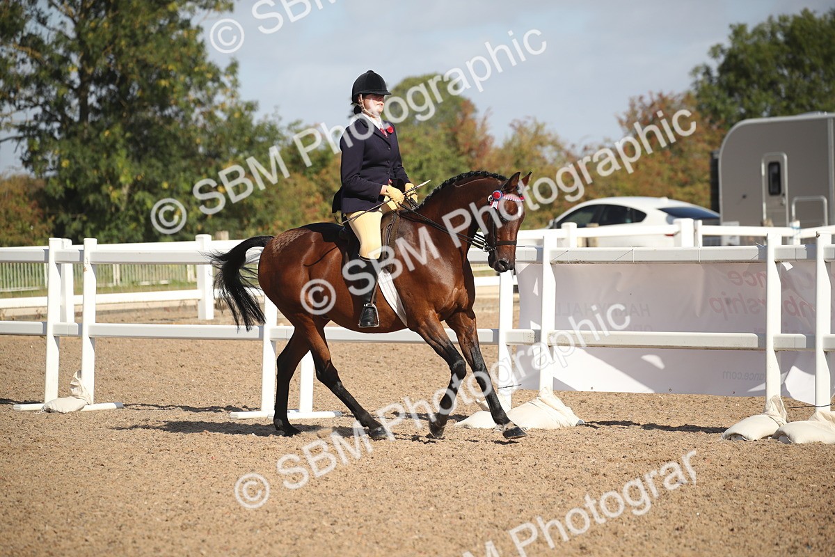 SBM_22779 - Class 602 - 2026 Area - Ridden Veteran