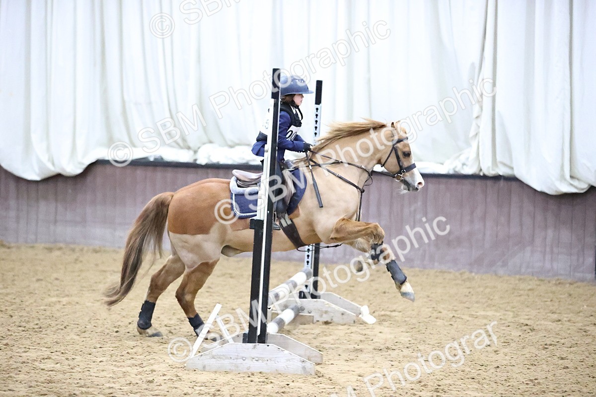 SBM_000135 - Class 2 - 50cm