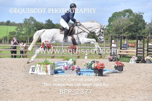 BPP_2377 - DERBY CLASS 7 - 80CM