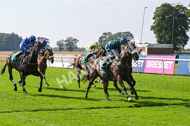 300824-Race 4-Tinto-5985 - Race 4