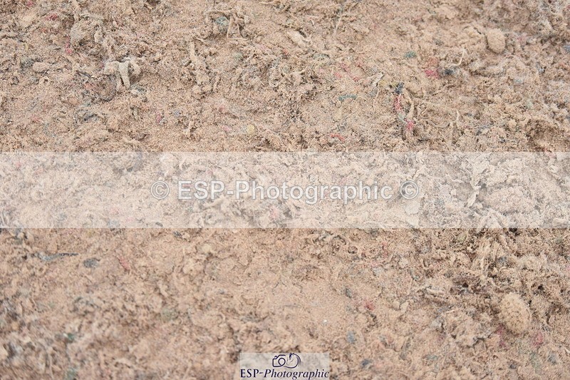 230902A-092142-00041 - Cls 6 85cm Amateur Quali