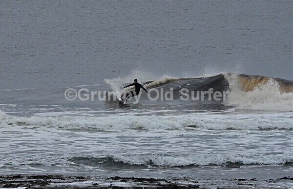 DSC_9010 - Thurso 6th November 2022