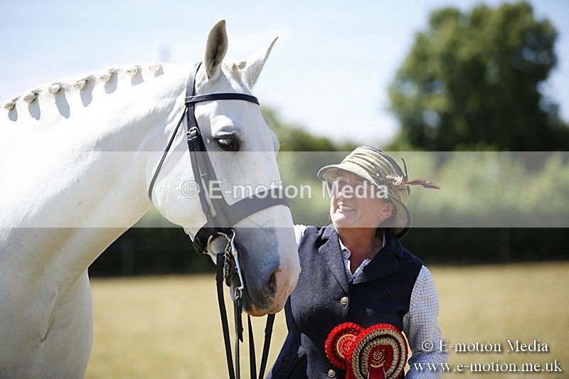 _C7A0171 - In Hand Championship BVRC Show 2018