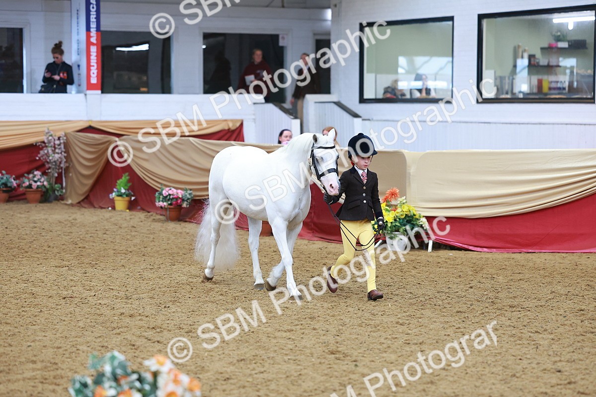 SBM_10728 - Class 103 - HOYS Veteran Qualifier - Ridden Pre Vet