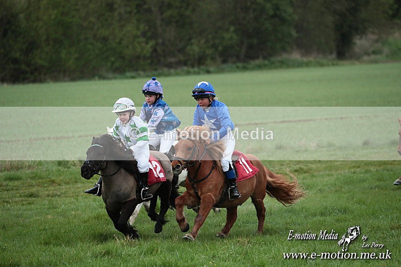 SHETPR 210425 186 - Shetland Ponies Paxford Races 21/04/25