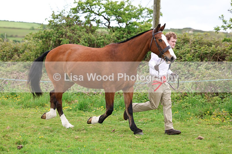 3E7A0754 - In Hand Championship