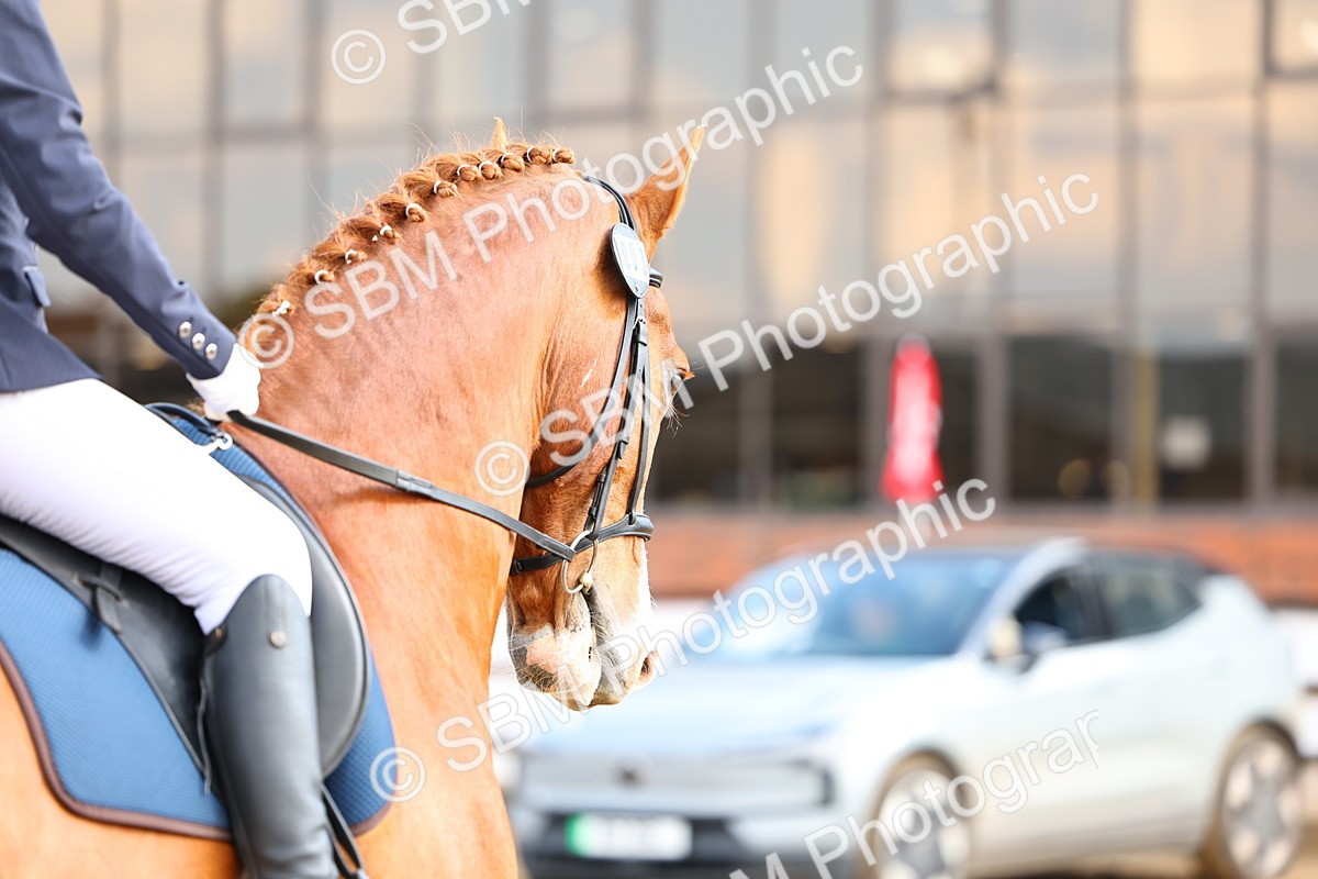 026A4171 - Class 3 - Prelim 2