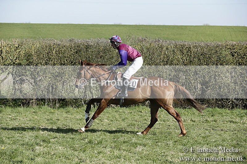 PtP 250317 178 - V.W.H. Hunt Point-to-Point Siddington 25/03/17