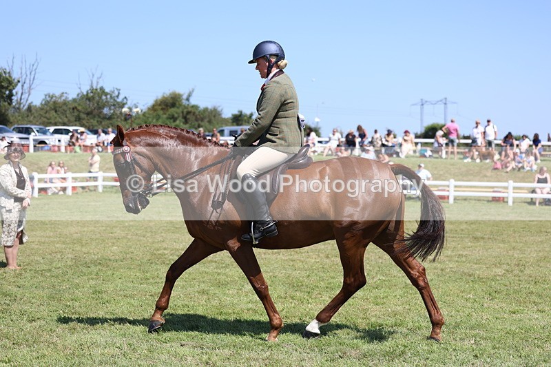 3E7A7793 - Class 7: Open Riding Horse