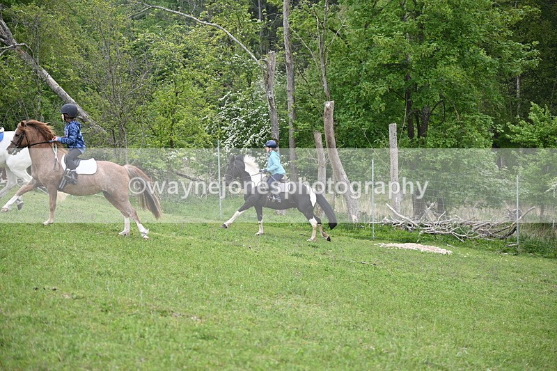 WJ6_3055 - A Camera