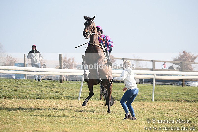 PtP 230219 24 - Vine & Craven Point-To-Point - Barbury 23/02/19