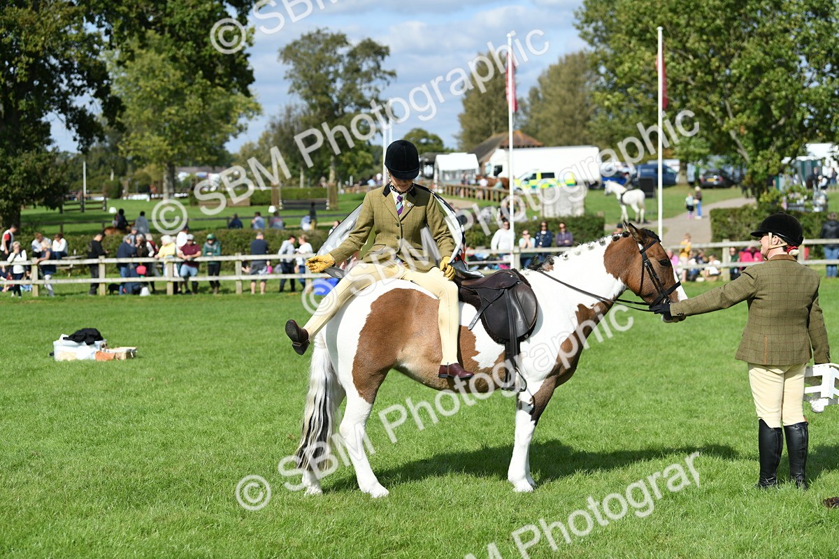 SBM_47132 - S12 - Family Horse & Pony