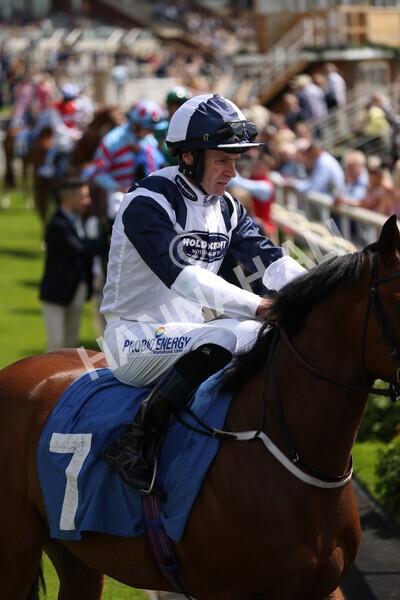 yr10062022r2-6 - Race 2 2.30pm SKF Rous Selling Stakes