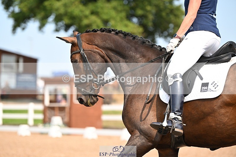 250816-141223-05042 - 052-Marcela.PomphreyLinkeltje.DE.J