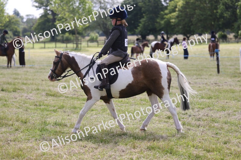 20260614-0695 - Class 20 - Beginners Working Hunter Pony