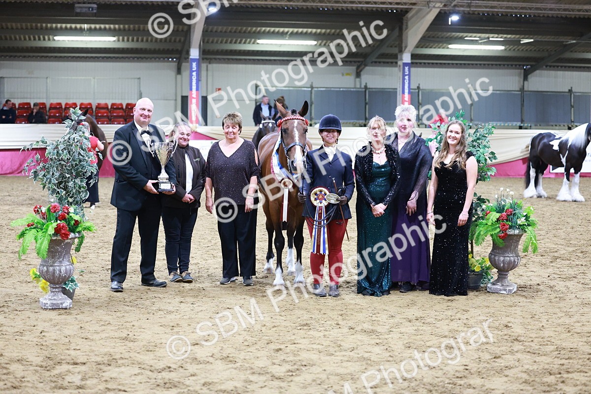 SBM_20135 - Class C - Novalty Champ