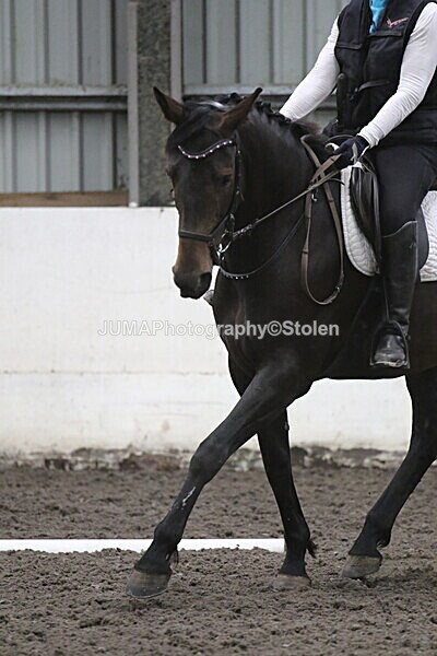 SIAL5399 - CAbin Dressage 5th july 2025