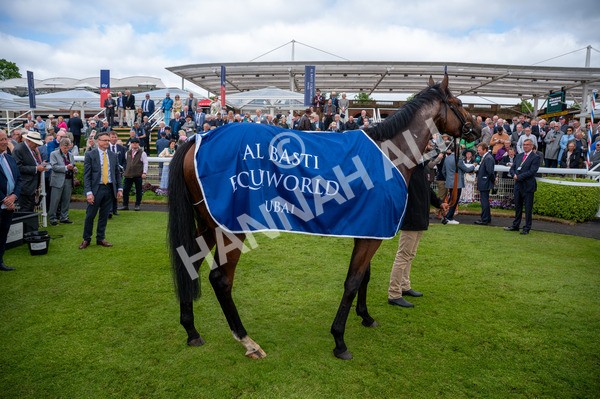 150525-Pride Of Arras-5587 - Race 4 3.45pm Al Basti Equiworld Dubai Dante Stakes