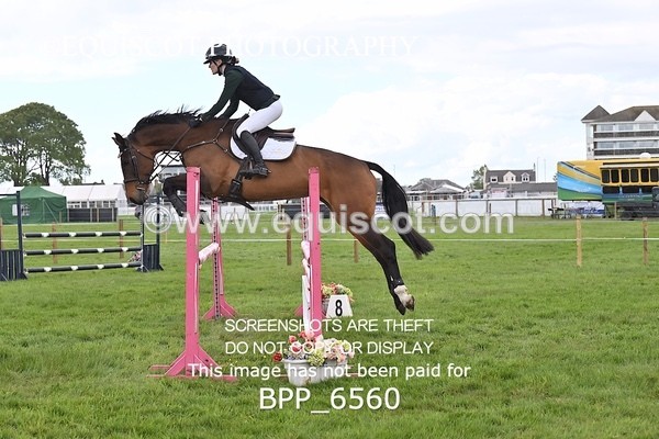BPP_6560 - CLASS 6 1M AM CHAMP