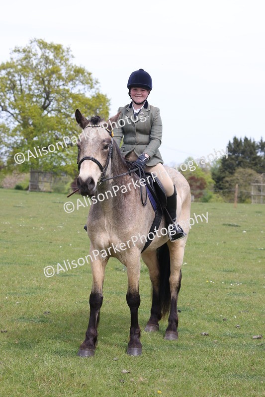 20260426-4373 - Class 34 - Best Riding Horse Over 14.2hh