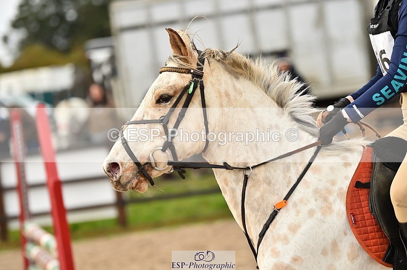 231112-135650-01069 - Cls 04 70 to 80cm