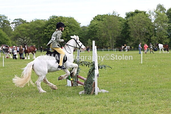 IMG_2546 - Working Hunter