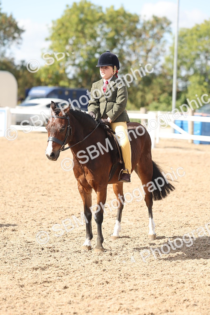 SBM_23174 - Class 806 - Young Rider 10ry and Under