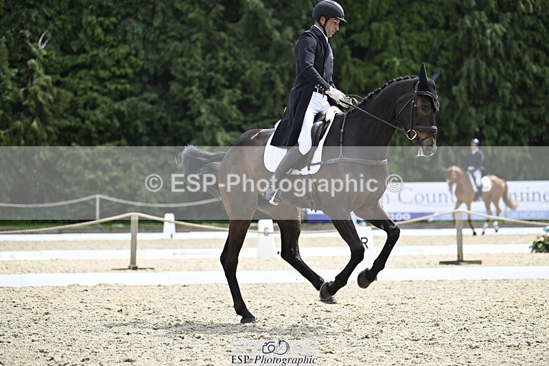 000101-190420-03844 - 426-VISCOUNT_VIKTOR-Tim_Price