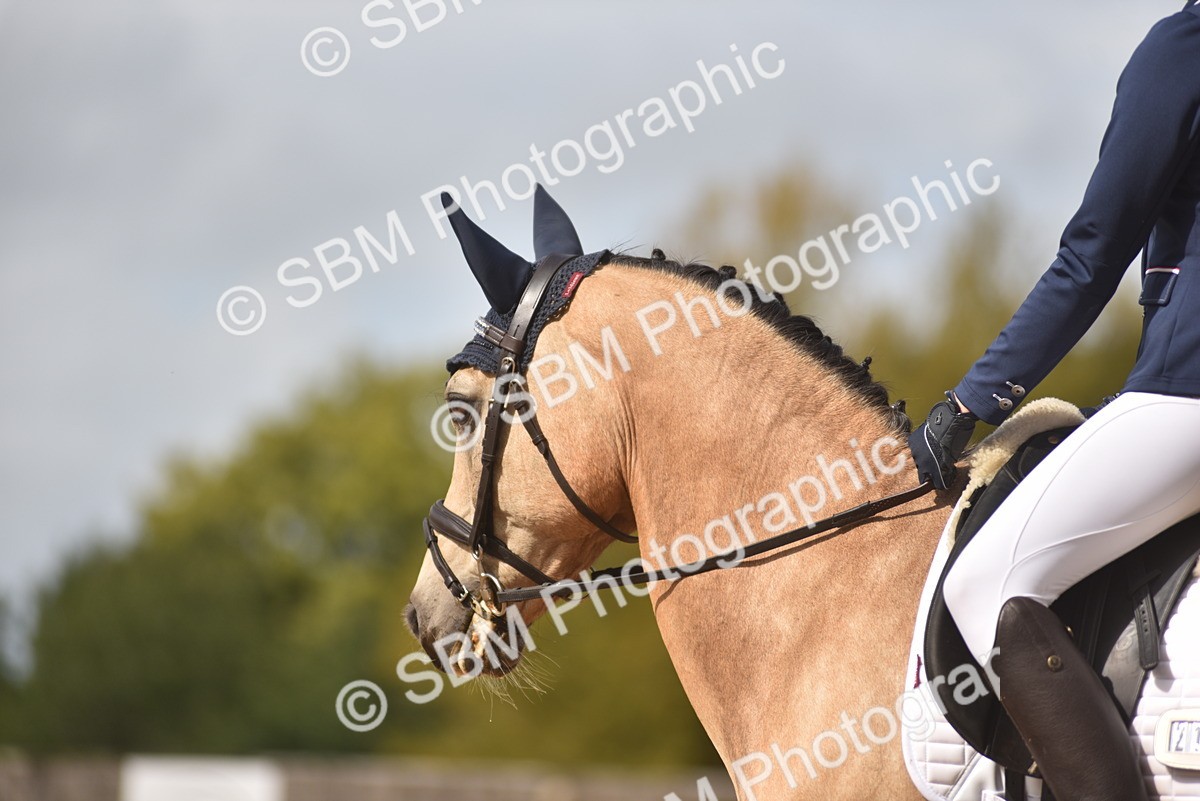 SBM_42298 - D22 - Junior Championship Intro 3