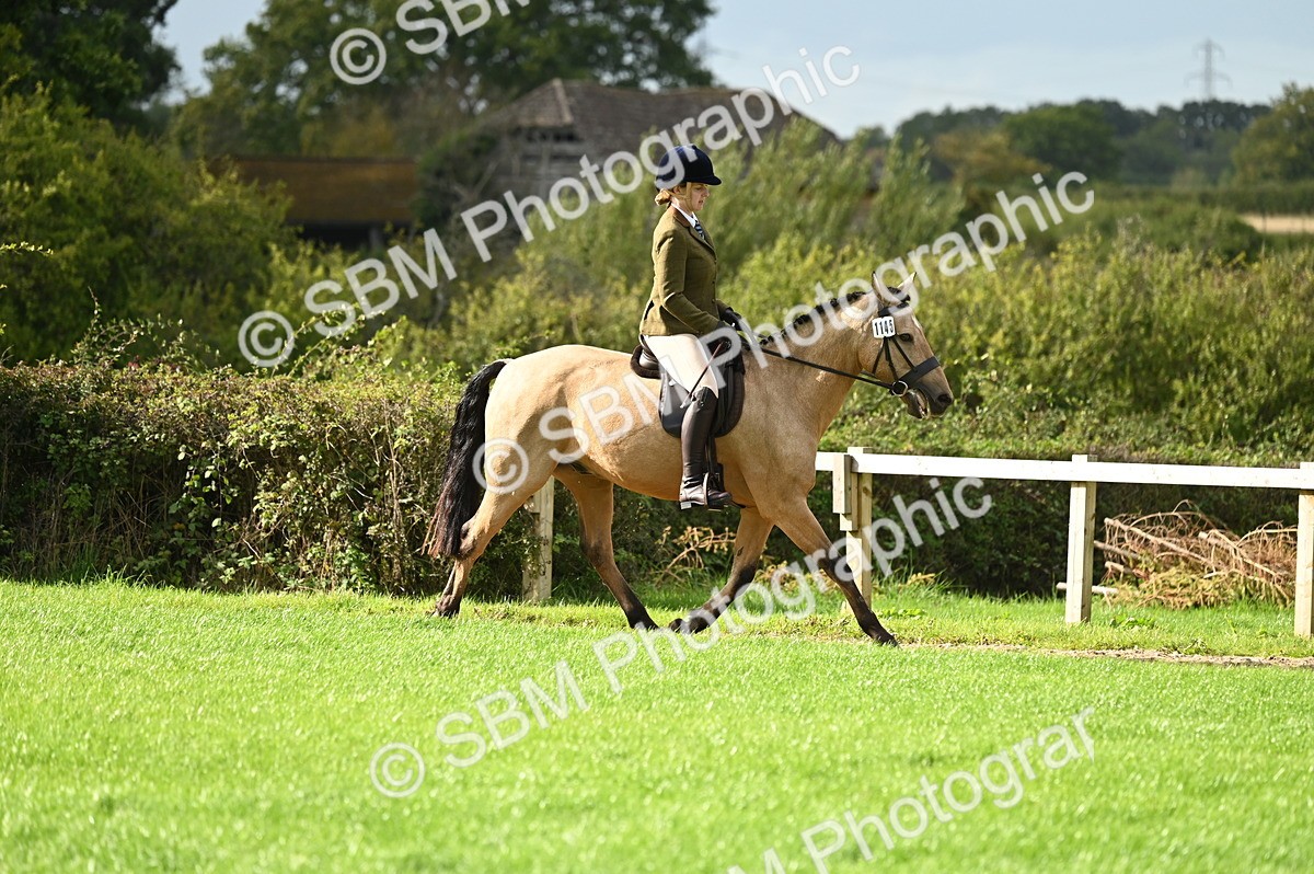 SBM_26318 - S6 - Novice & newcomer Ridden horse