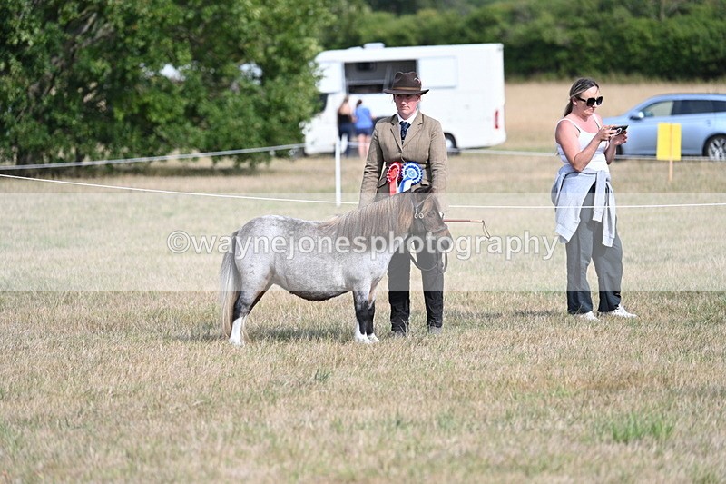 WJ7_8186 - In-hand Championship