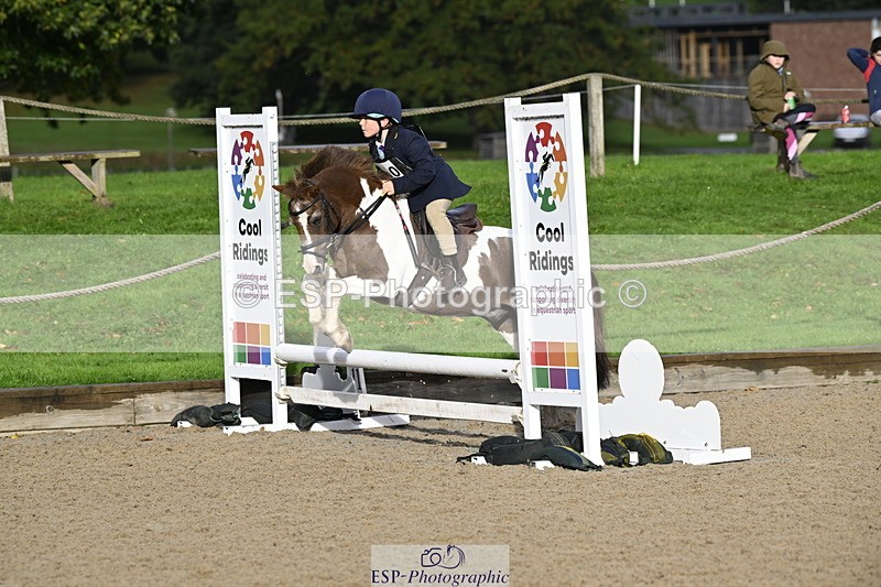 251005A-091548-03017 - Cls 02 GR 50cm