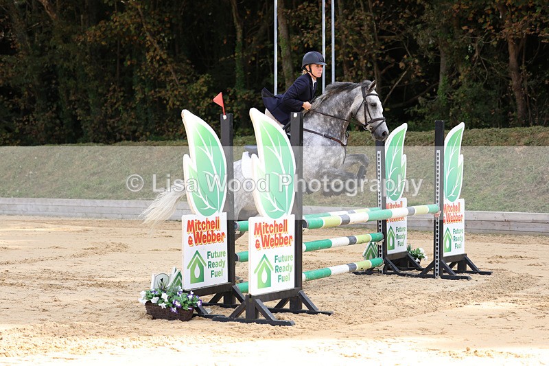 3E7A2031 - Class 4: Senior British Novice/90cm open