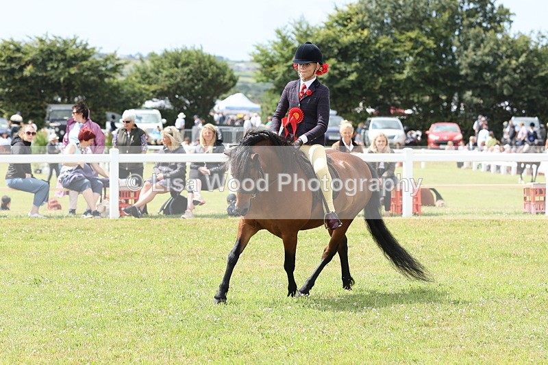 JPP_1645 - Cornish Combination Championship