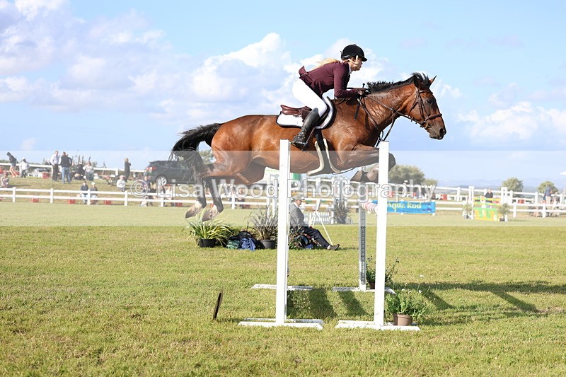 3E7A4440 - Class C: Showjumping Senior Foxhunter