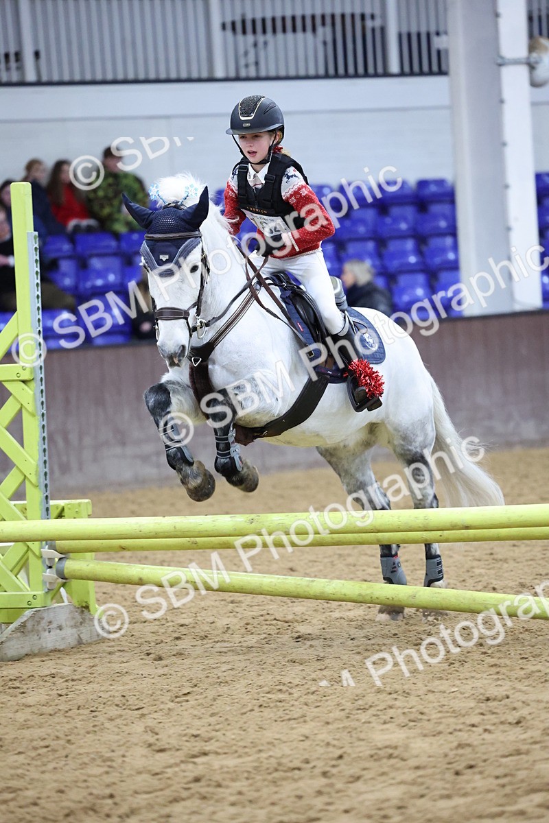 SBM_001194 - Class 3 - Christmas Tree Stakes - 60cm