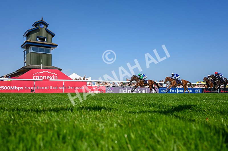 130826-Race 1-Not My Type-5231 - Race 1 14.15pm Racing TV Club Day EBF Fillies' Novice Stakes