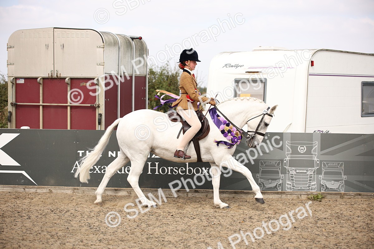 SBM_15080 - Class 408a - Working Veteran 70cm (15-19