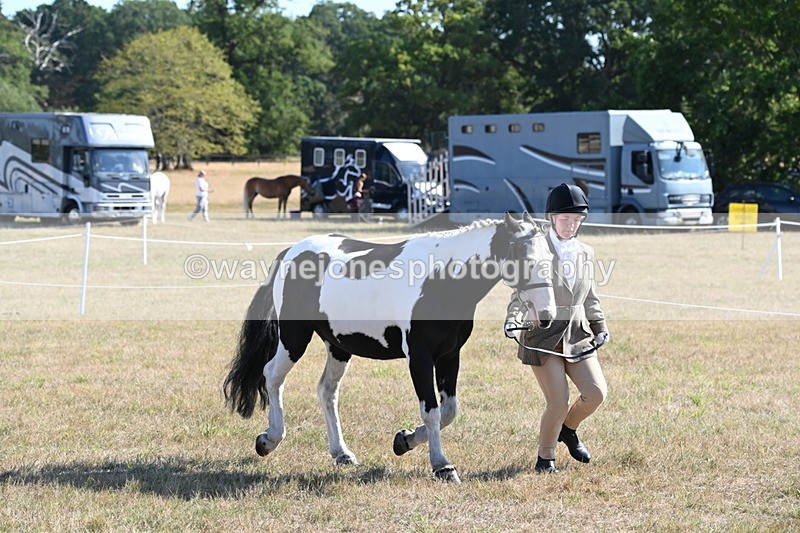 WJ6_7227 - Class 33 Rescue Pony