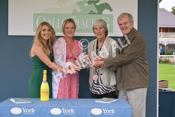 yr23072021r5-48 - Race 5 8.00pm Gallop Racing Stakes