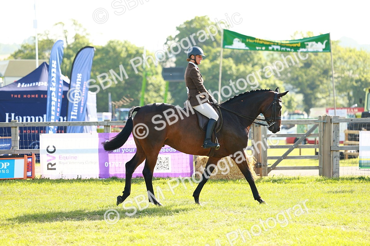 SBM_10818 - Class 66-69 - RIHS Ridden Hunters Inc Small Hunter