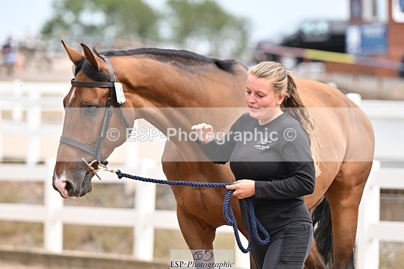 250716-154314-02161 - Trot Up 3.30 to 4.30