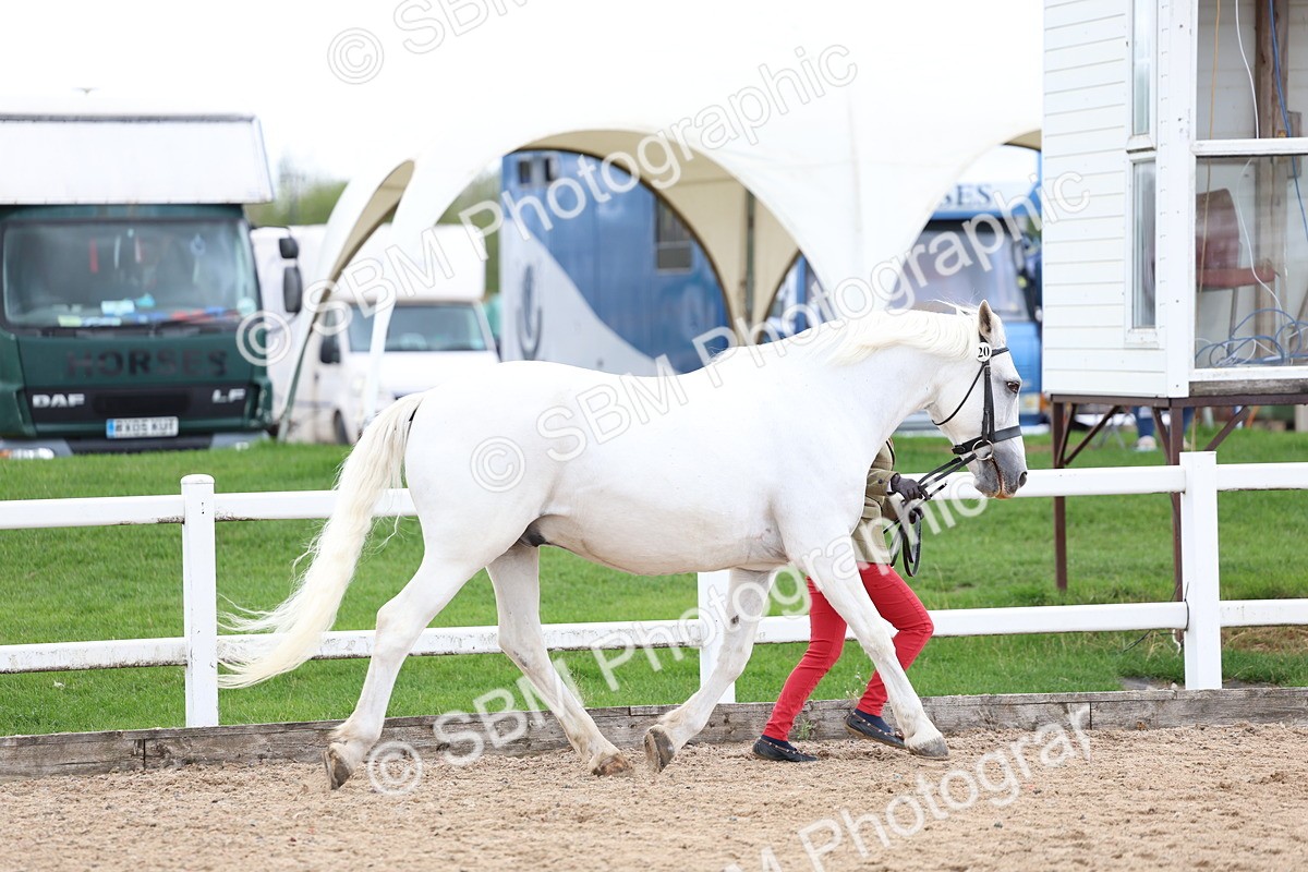 SBM_05046 - Class 27 - IH Competition Horse or Pony