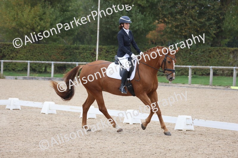 20251012-0664 - Class 5 - Elementary 5